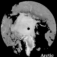 Arctic Data